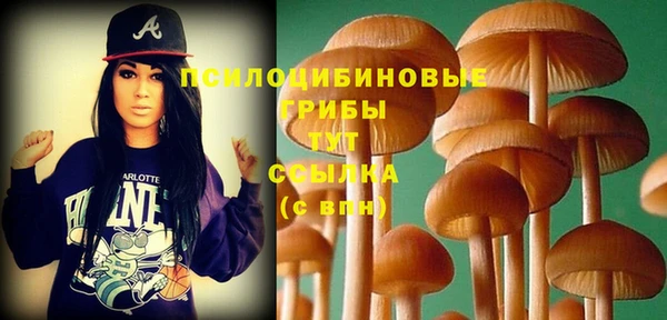 мескалин Белокуриха