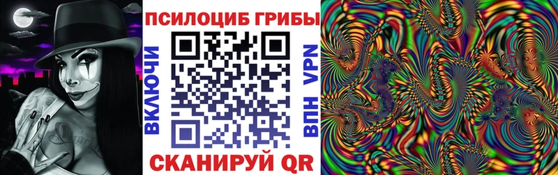 Псилоцибиновые грибы Psilocybe  Цивильск 