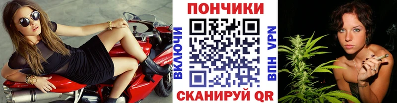 Конопля сатива как найти закладки Цивильск